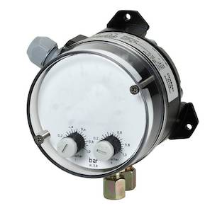 F5513 Differential Pressure Switch - process differential gauges