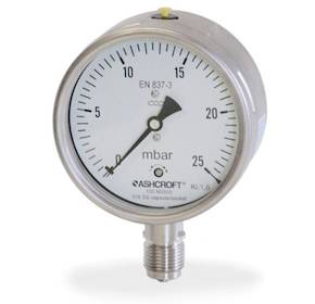 N5500 Capsule type pressure gauge